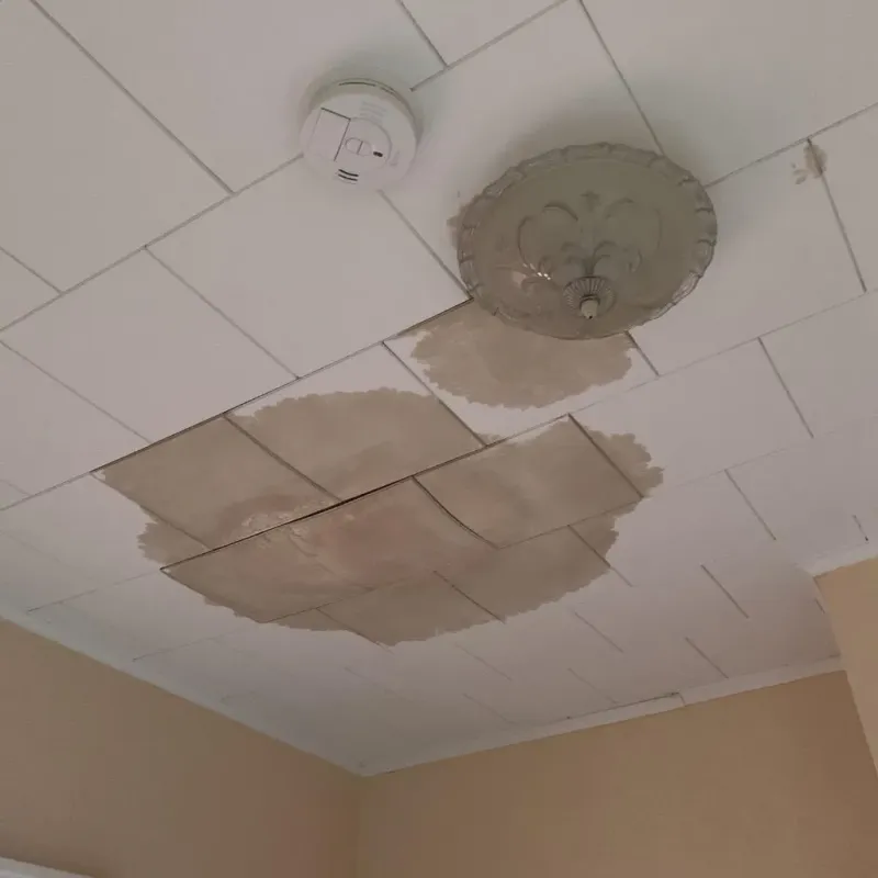 Ceiling Water Damage Repair in Lacon, IL