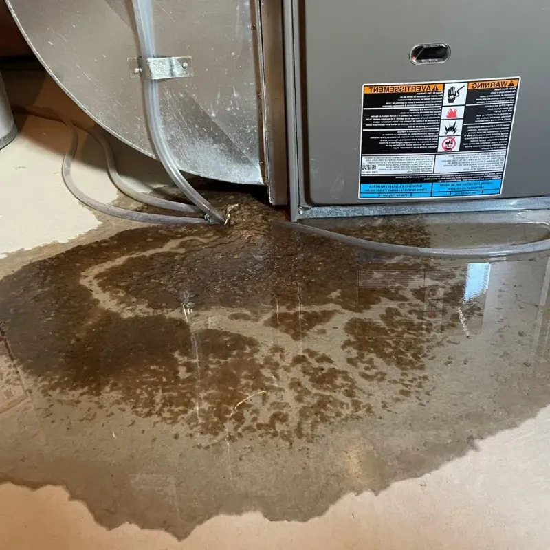 Pipe Burst and Leak Restoration in Lacon, IL
