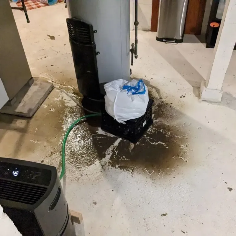 Sewage Backup Cleanup Service in Lacon, IL